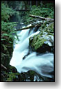 Sol Duc Falls, Olympic National Park, Washington